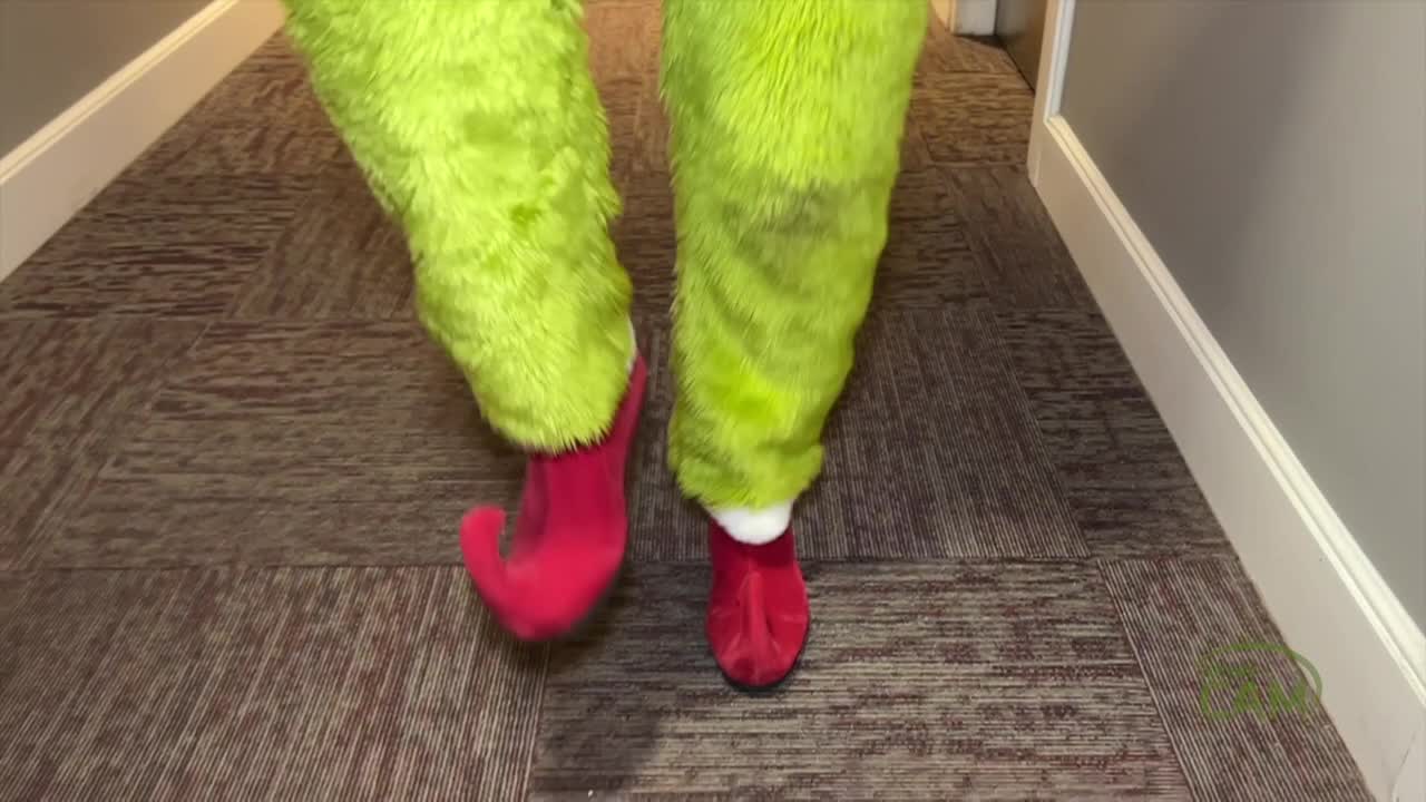 The Grinch & The Vets Giving Tree '25