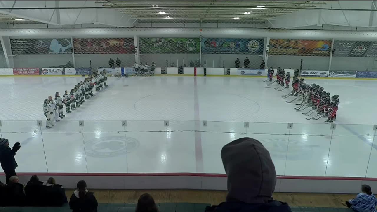 Quincy-North Quincy vs NSA Girls Hockey Sr.Night; Jan. 31, 2026